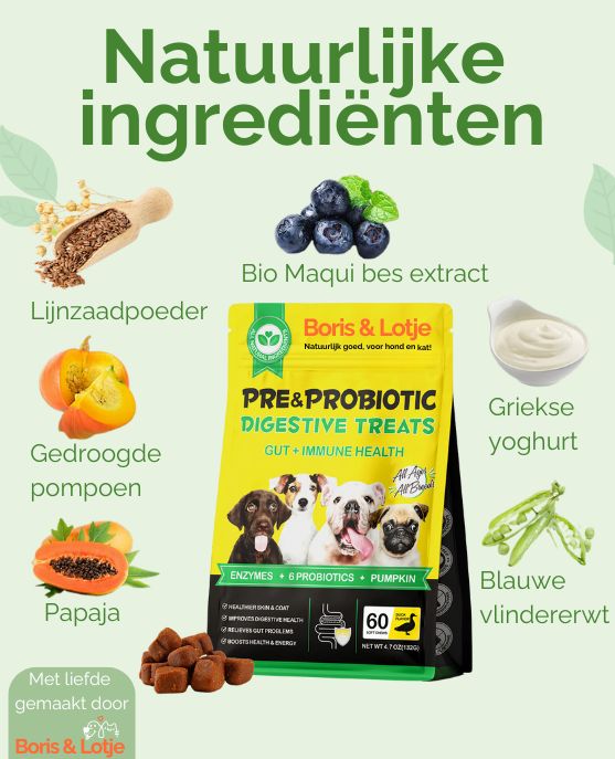 Pre & Probiotica hond - Ondersteunt Spijsvertering & Weerstand - 60 hondensnoepjes met eend smaak