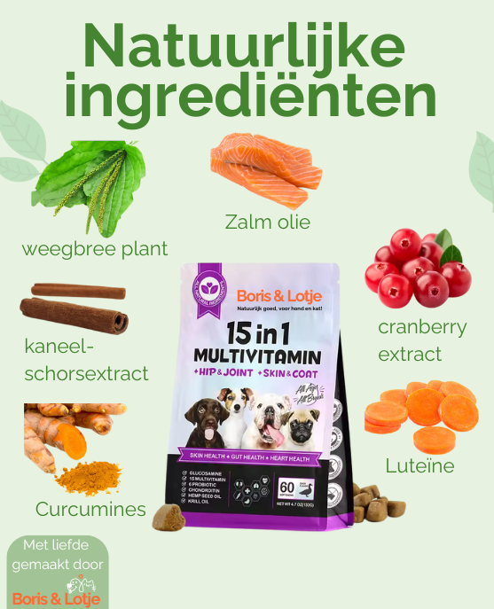 Omega 3-6-9 Huid & Vacht Supplement - 60 hondensnoepjes met eend smaak